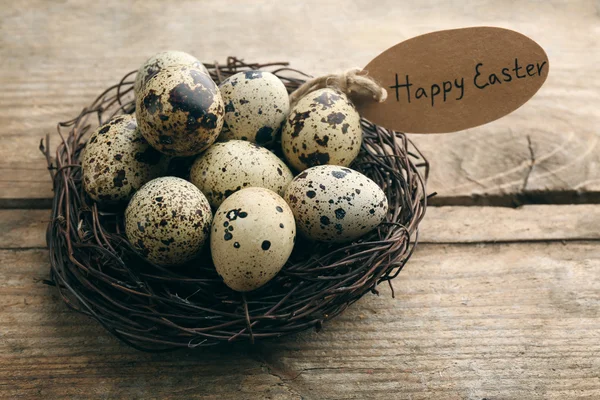 Bird eggs in nest on wooden background — Stock Photo, Image