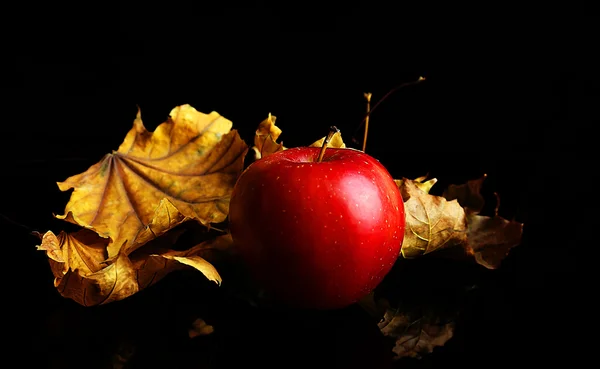 Apple dengan daun kering — Stok Foto