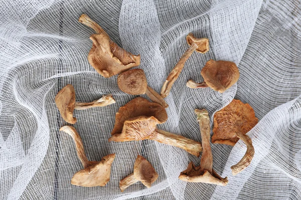 Sušené houby na bílé látky, detail — Stock fotografie