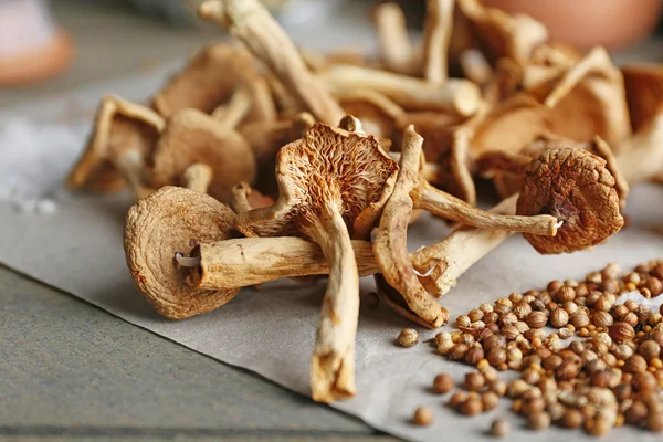Dried mushrooms with spices on paper, closeup — Stock Photo, Image