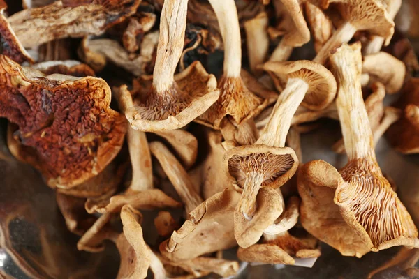 Gedroogde champignons, close-up — Stockfoto