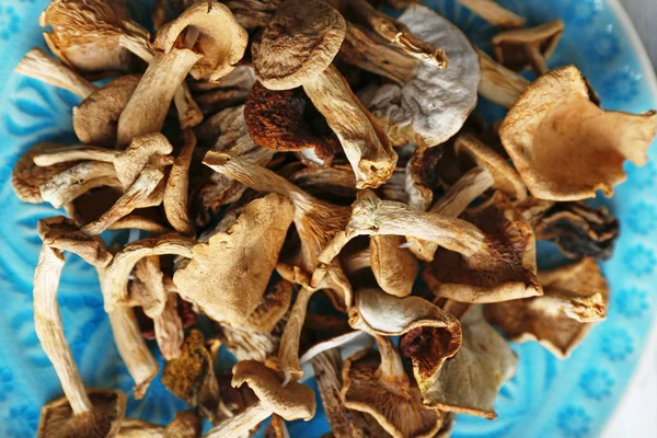 Сушені гриби в тарілці, крупним планом — стокове фото