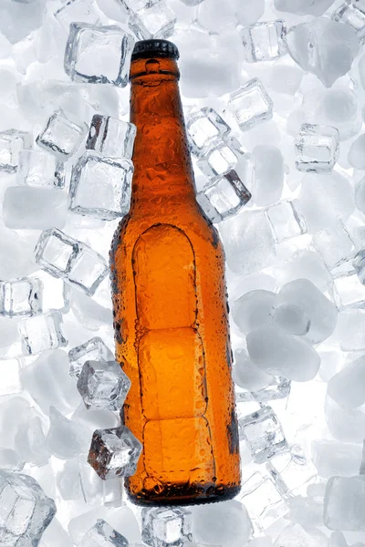 Skleněná láhev piva — Stock fotografie