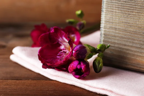 Smukke forårsblomster - Stock-foto