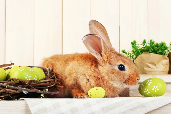 Cute red rabbit with Easter eggs — Stock Photo, Image