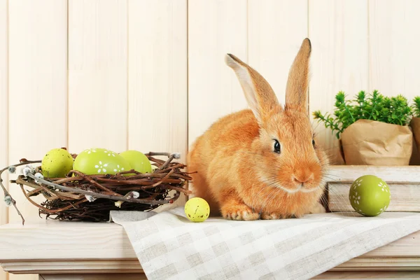 Cute red rabbit with Easter eggs — Stock Photo, Image