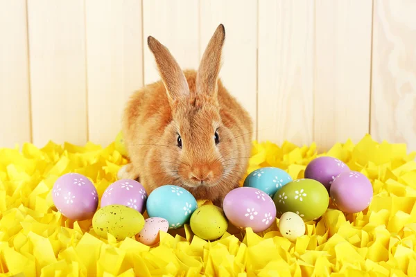 Mignon lapin rouge aux œufs de Pâques — Photo