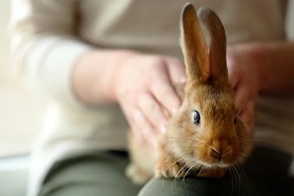 Woman holding rabbit — Zdjęcie stockowe