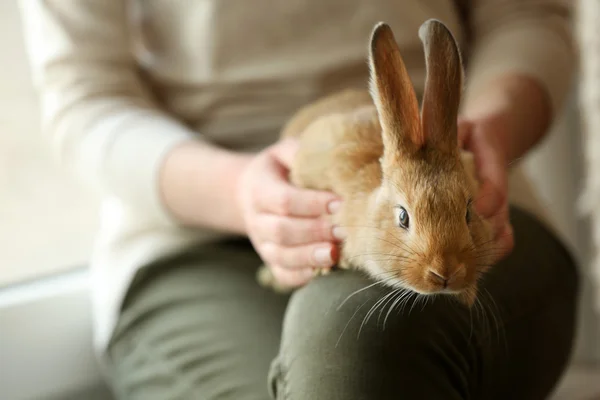 Woman holding rabbit — Zdjęcie stockowe