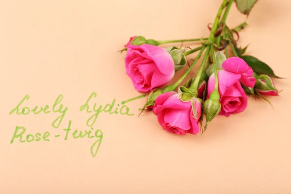 Beautiful rosy twig with inscription on paper background — Stock Photo, Image