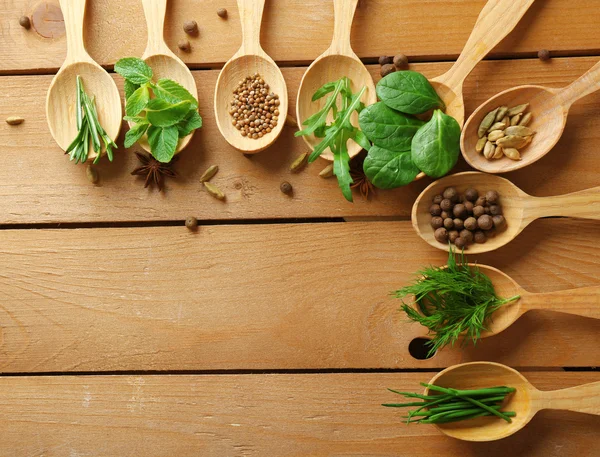 Cuillères en bois aux herbes fraîches — Photo