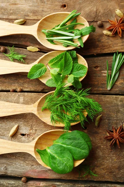 Cucharas de madera con hierbas frescas — Foto de Stock