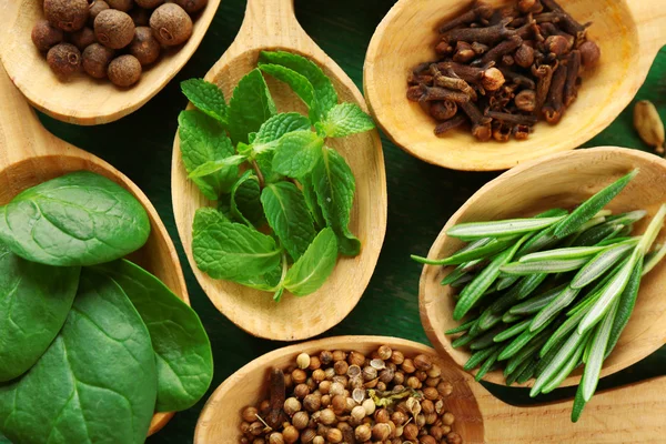 Wooden spoons with fresh herbs — Stock Photo, Image