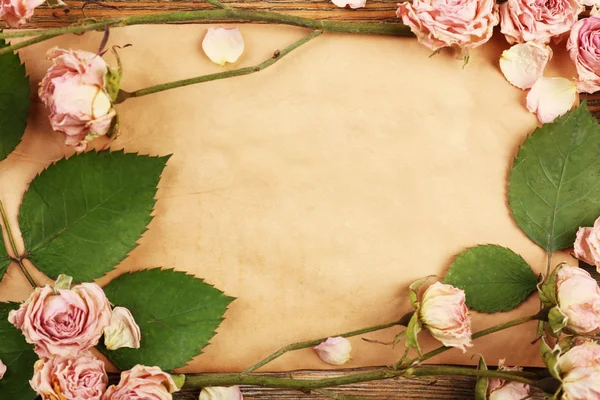 Dried roses on sheet of paper — Stock Photo, Image