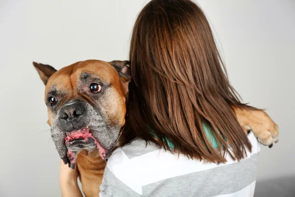 Girl holding cute dog on light background — Stock Photo, Image