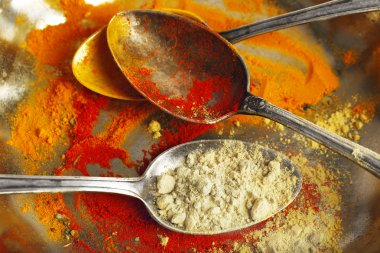 Kaşık, makro görünümü ile gümüş tepsi üzerinde farklı baharatlar