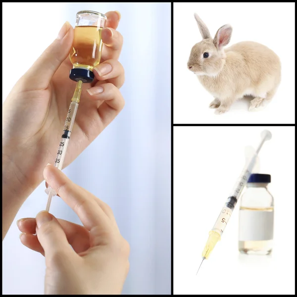 Vaccination and treatment of animals, collage — Stock Photo, Image