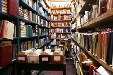 Pek çok kitap kütüphane içinde bookshelf
