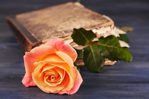 Tea rose with old book on color wooden table background — Stock Photo, Image