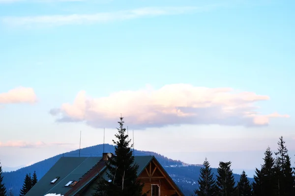 View of buildings over spruce and blue sky in wintertime — Stock Photo, Image