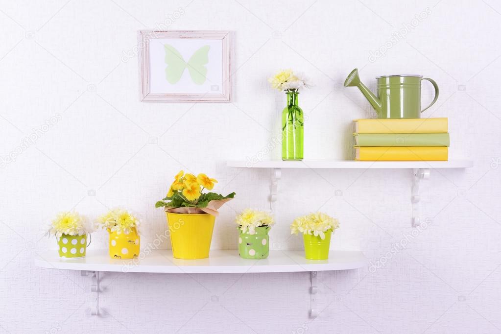 Flower on shelves on white wall background