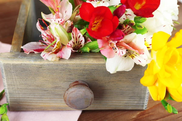 Hermosas flores de primavera —  Fotos de Stock