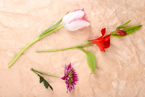 Olika blommor på papper bakgrund — Stockfoto