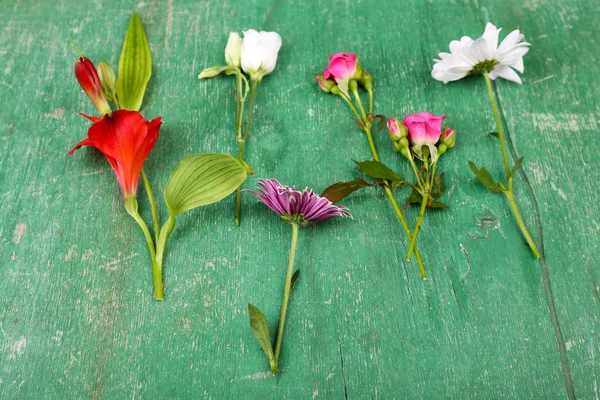 Différentes fleurs sur fond en bois — Photo