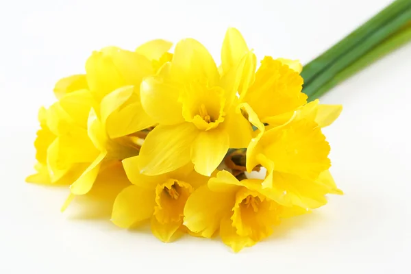 Beautiful bouquet of yellow daffodils — Stock Photo, Image