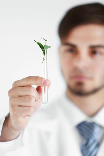 Man holding test tube with leaves, close up — Stock Photo, Image