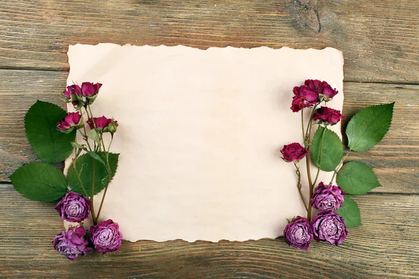 Roses séchées sur feuille de papier — Photo