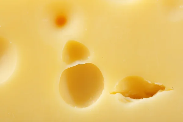 Cheese, macro view — Stock Photo, Image