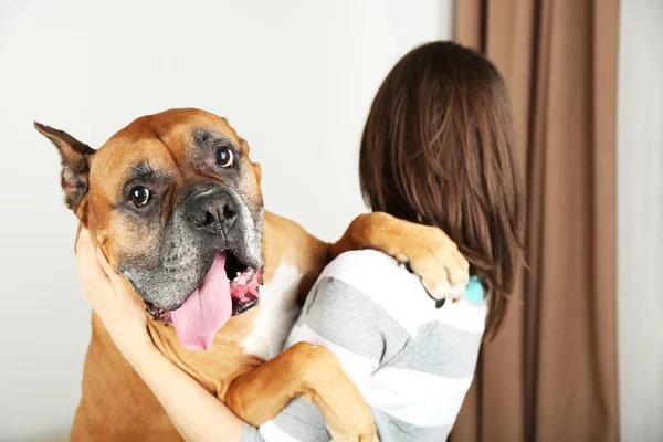 Девушка держит милую собаку на светлом фоне — стоковое фото