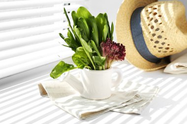 Yeşil yaprakları çeşitli ile olabilir