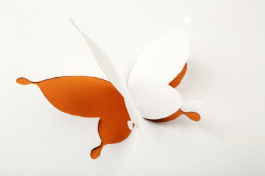 Kesme kağıt kelebek tebrik kartı olarak