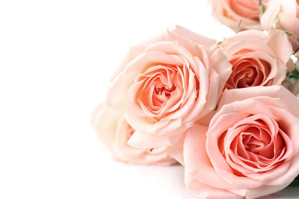 Ramo de hermosas rosas frescas aisladas en blanco — Foto de Stock