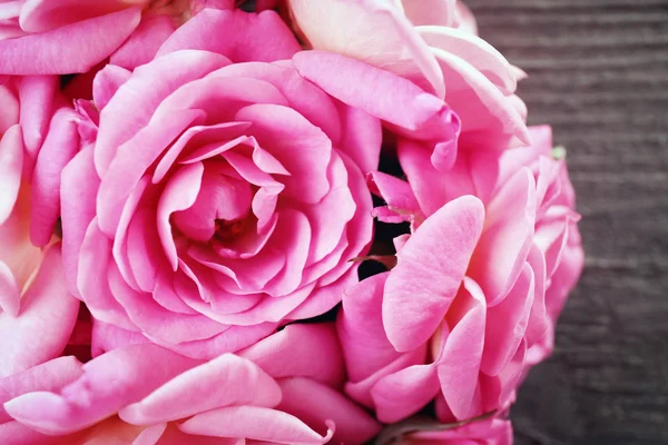 Πανέμορφα ροζ τριαντάφυλλα, κινηματογράφηση σε πρώτο πλάνο — Φωτογραφία Αρχείου