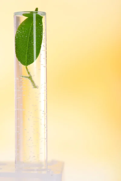Green leaf in test tube — Stock Photo, Image