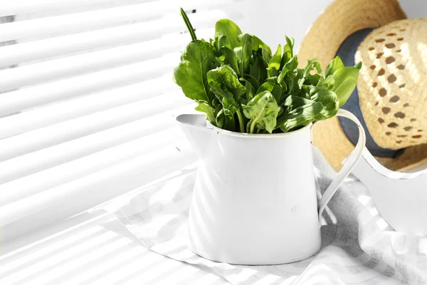 Can with variety of green leaves — Stock Photo, Image