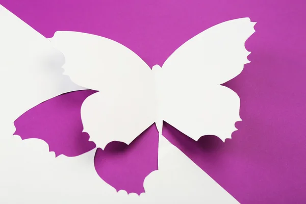 Knipsel papier vlinder als wenskaart — Stockfoto