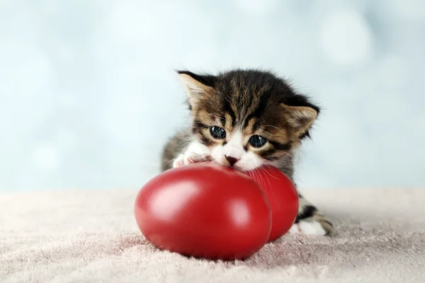 Leuk weinig katje met rood hart op lichte achtergrond — Stockfoto