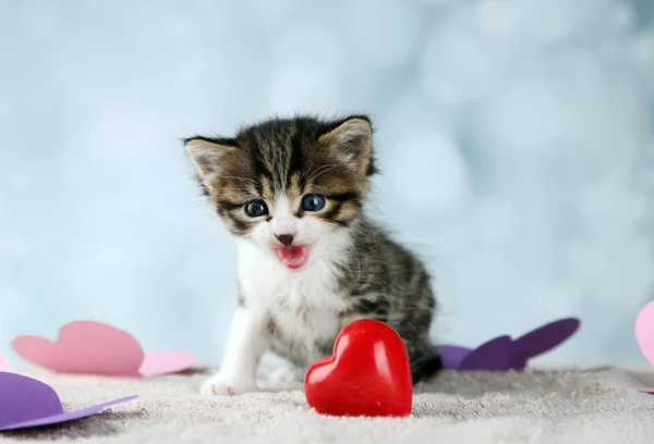 Işık arka plan üzerinde kırmızı kalpli şirin kedicik — Stok fotoğraf