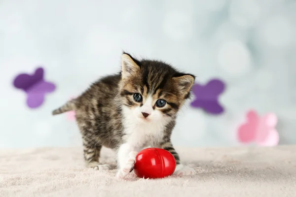 明るい背景に赤いハートのかわいい子猫 — ストック写真