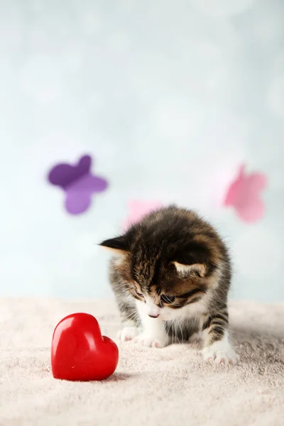 Işık arka plan üzerinde kırmızı kalpli şirin kedicik — Stok fotoğraf