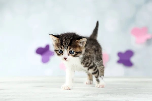 Niedliches kleines Kätzchen auf hellem Hintergrund — Stockfoto