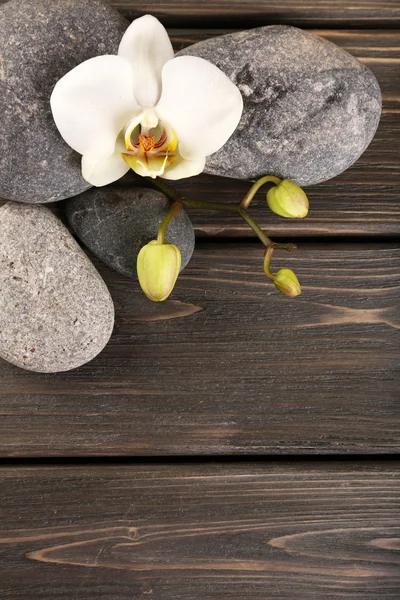 Pietre termali e fiori di orchidea su sfondo di legno — Foto Stock