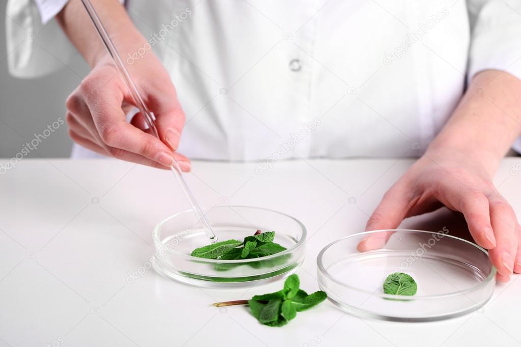 Woman examining green plant