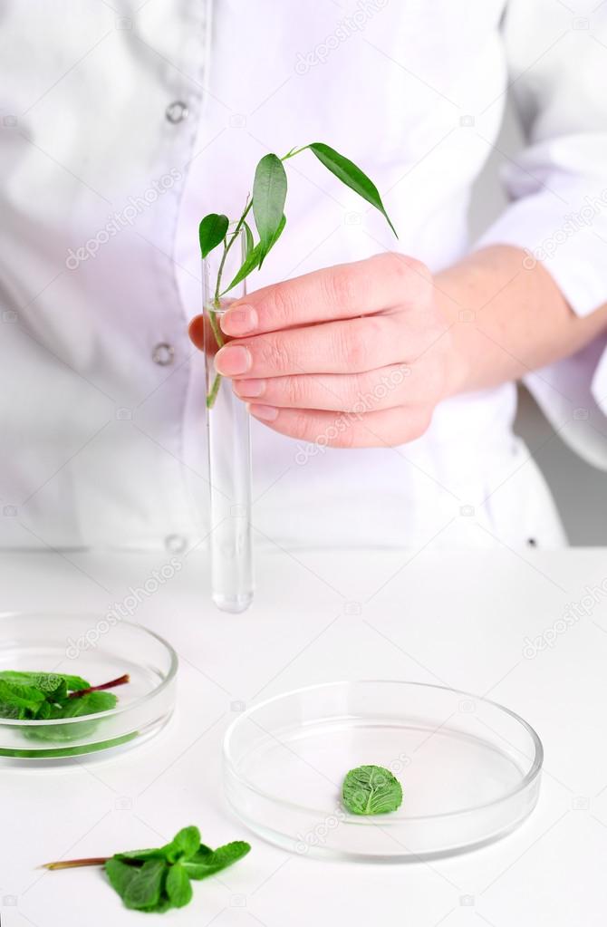 Woman examining green plant