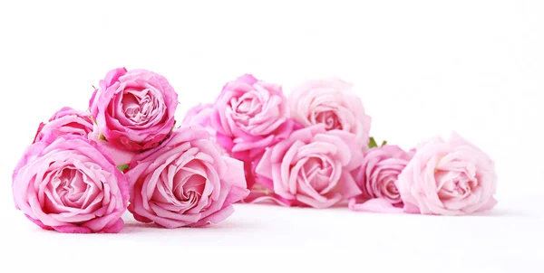 Strauß schöner frischer Rosen isoliert auf weiß — Stockfoto