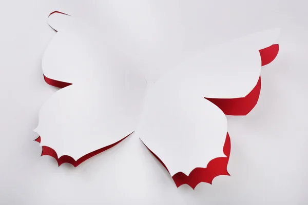 Cutout paper butterfly as greeting card — Stock Photo, Image